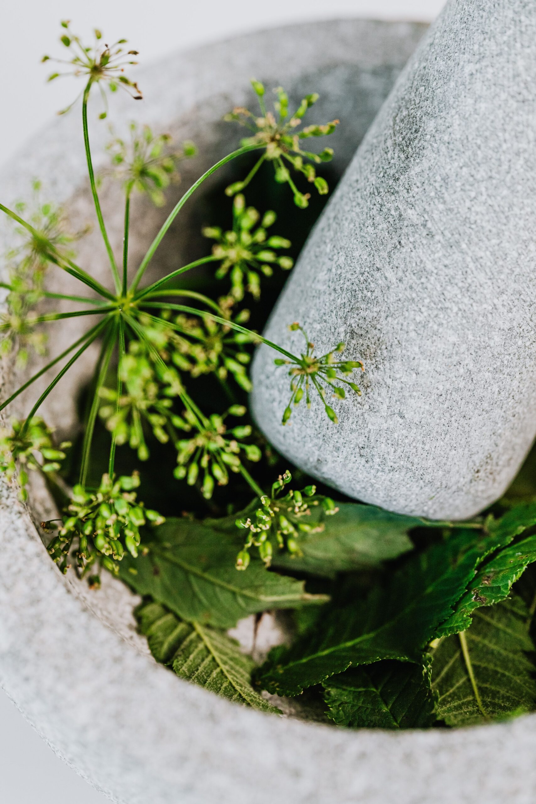A detailed view of fresh green herbs with a stone mortar and pestle, ideal for culinary and herbal themes.